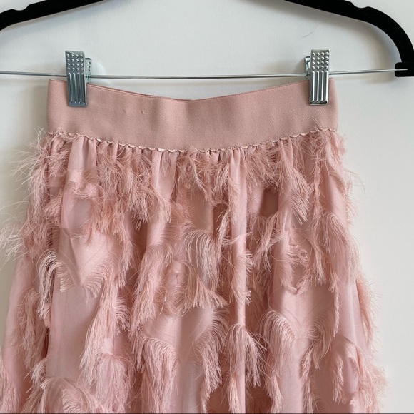 Feathered Midi Skirt - Picture 9 of 11